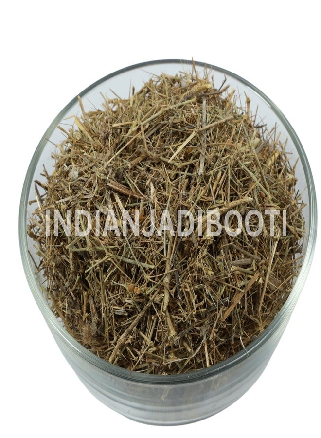 IndianJadiBooti Dhamasa (Fagonia Cretica) | 100g | Damasha Panchang/Sachhi Buti | Whole Plant Dried Herb (with Thorns) | Traditional Cooling & Purifying Tonic (Rakta Shodhak) - Image 2